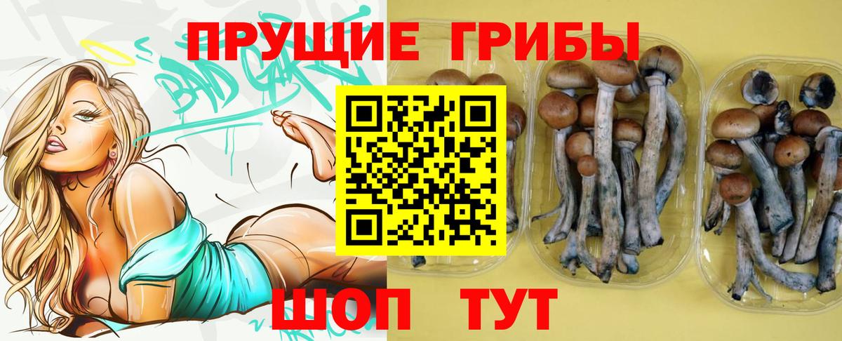 Псилоцибиновые грибы мицелий  Вход с VPN  Галлюциногенные грибы Magic Shrooms  Серпухов 